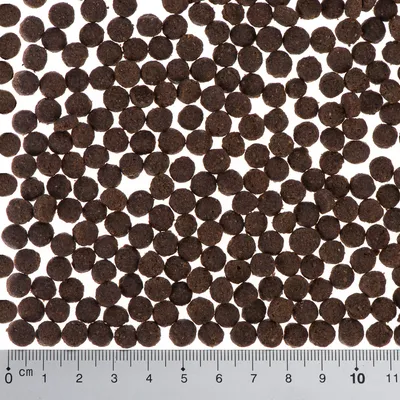 Pyöreitä, tummia kuivaruokanappuloita viivaimen vieressä; nappulan halkaisija noin 1 cm. Kokovertailu auttaa valitsemaan sopivan koon lemmikille.
