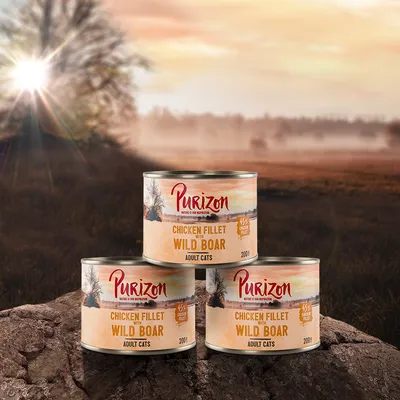 Three tins of Purizon Chicken Fillet with Wild Boar for adult cats, 200g each, visible text: 45% chicken fillet. Tins shown outdoors on a rock.