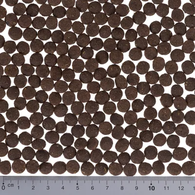 Ruskeita pyöreitä kuivaruokanappuloita, halkaisija noin 1 cm, mitta-asteikko kuvassa alareunassa senttimetreinä.