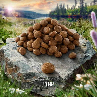 Hrană pentru câini sub formă de bilă pe o piatră, diametrul bilelor 10 mm, fundal natural cu pădure și pajiște.