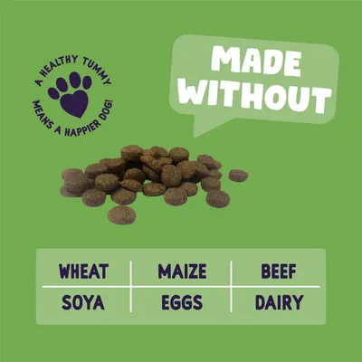 Dry food shown with text: Made without wheat, soya, maize, eggs, beef, dairy. Includes message: A healthy tummy means a happier dog.