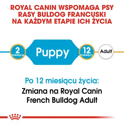 Royal Canin wspomaga psy rasy buldog francuski na każdym etapie życia. Puppy 2–12 miesięcy. Po 12 miesiącu: zmiana na Royal Canin French Bulldog Adult.