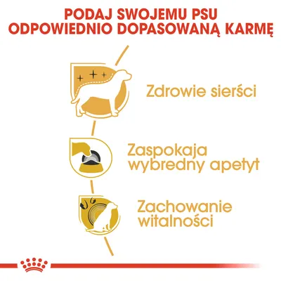 Podaj swojemu psu odpowiednio dopasowaną karmę. Zdrowie sierści, zaspokaja wybredny apetyt, zachowanie witalności.