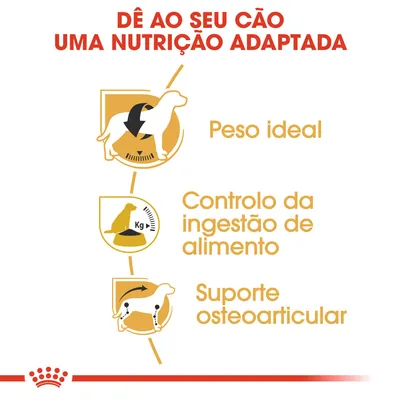 Dê ao seu cão uma nutrição adaptada: peso ideal, controlo da ingestão de alimento, suporte osteoarticular. Texto e ícones ilustrativos de benefícios para cães.