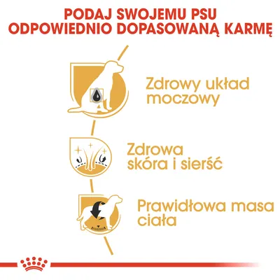 Podaj swojemu psu odpowiednio dopasowaną karmę: zdrowy układ moczowy, zdrowa skóra i sierść, prawidłowa masa ciała.