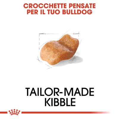 Crocchette pensate per il tuo Bulldog. Immagine di una crocchetta. Testo in inglese: Tailor-made kibble.