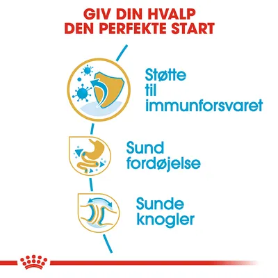 GIV DIN HVALP DEN PERFEKTE START. Støtte til immunforsvaret, sund fordøjelse, sunde knogler.