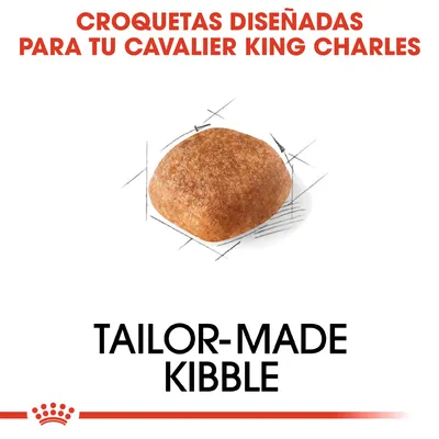 Croquetas diseñadas para tu Cavalier King Charles. Tailor-made kibble. Imagen de una croqueta individual.