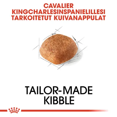Cavalier Kingcharlesinspanielillesi tarkoitetut kuivanappulat. Tailor-made kibble. Yksi nappula kuvattuna läheltä.