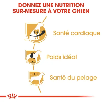 Donnez une nutrition sur-mesure à votre chien : santé cardiaque, poids idéal, santé du pelage. Texte en français belge.