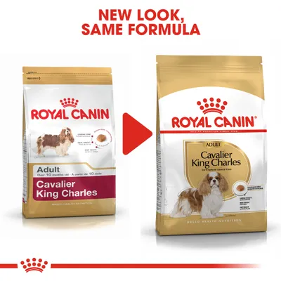 Royal Canin Cavalier King Charles Adult -koiranruoan pakkausuudistus: vasemmalla vanha ja oikealla uusi ulkoasu, teksti ylhäällä 'New look, same formula'.
