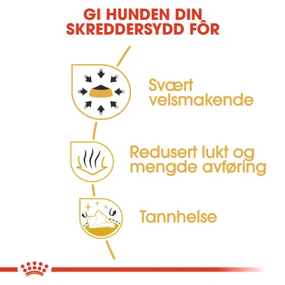 Royal Canin Chihuahua Adult