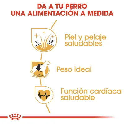 Da a tu perro una alimentación a medida: piel y pelaje saludables, peso ideal, función cardíaca saludable.