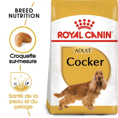 Royal Canin Cocker Adult pour chien