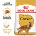 Royal Canin Cocker Adult pour chien
