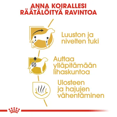 Anna koirallesi räätälöityä ravintoa. Luuston ja nivelten tuki, auttaa ylläpitämään lihaskuntoa, ulosteen ja hajujen vähentäminen.