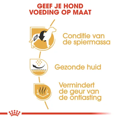 Geef je hond voeding op maat. Conditie van de spiermassa, gezonde huid, vermindert de geur van de ontlasting.