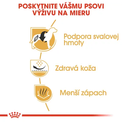 Poskytnite vášmu psovi výživu na mieru: podpora svalovej hmoty, zdravá koža, menší zápach. Text a piktogramy s benefitmi krmiva.