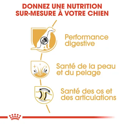 Donnez une nutrition sur-mesure à votre chien : performance digestive, santé de la peau et du pelage, santé des os et des articulations.