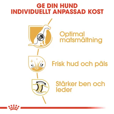 Ge din hund individuellt anpassad kost. Optimal matsmältning, frisk hud och päls, stärker ben och leder.