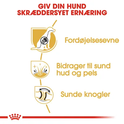 Giv din hund skræddersyet ernæring. Fordøjelsesevne. Bidrager til sund hud og pels. Sunde knogler.