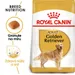 Royal Canin Golden Retriever Adult