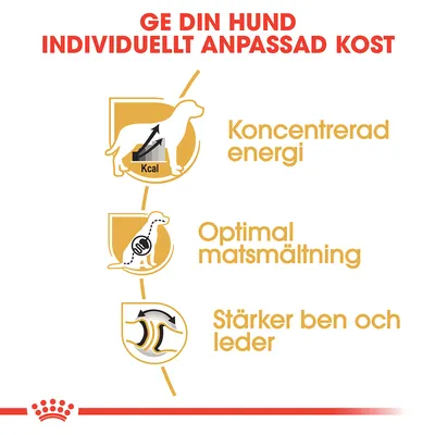 Ge din hund individuellt anpassad kost: Koncentrerad energi, Optimal matsmältning, Stärker ben och leder. Illustrationer av hundar och symboler för varje egenskap.