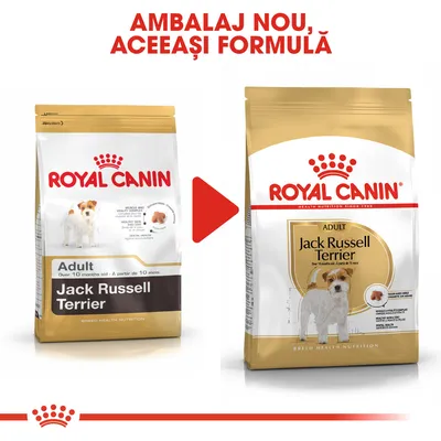 Ambalaj vechi și nou pentru Royal Canin Adult Jack Russell Terrier, text vizibil: „AMBALAJ NOU, ACEEAȘI FORMULĂ”. Imagine cu două pungi de hrană uscată pentru câini.