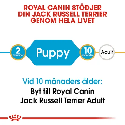 Royal Canin stödjer din Jack Russell Terrier genom hela livet. Puppy 2 månader till 10 månader, Adult därefter. Vid 10 månaders ålder: Byt till Royal Canin Jack Russell Terrier Adult.