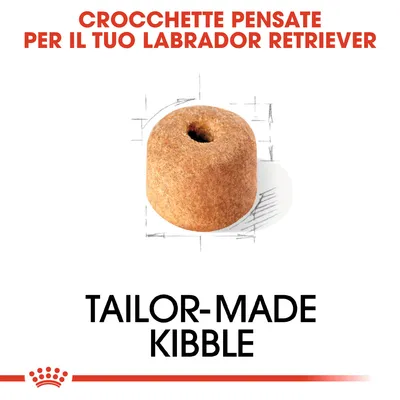 Crocchette pensate per il tuo Labrador Retriever. Tailor-made kibble. Immagine di una crocchetta cilindrica con foro centrale.