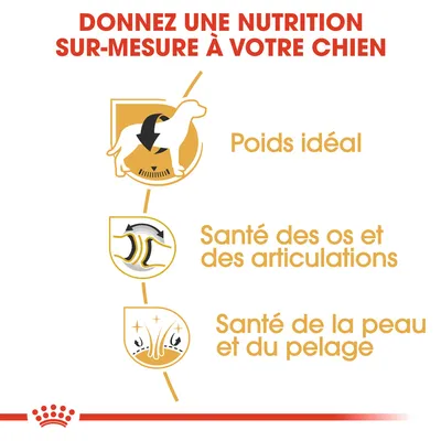 Donnez une nutrition sur-mesure à votre chien : poids idéal, santé des os et des articulations, santé de la peau et du pelage. Texte en français belge.