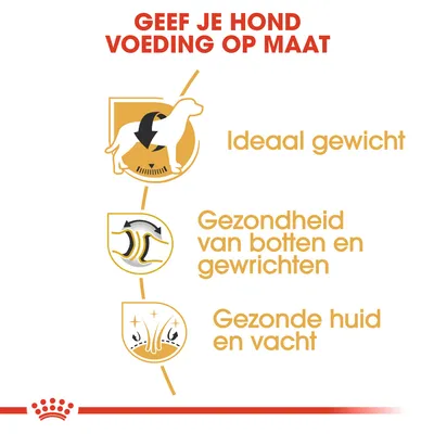 Geef je hond voeding op maat. Ideaal gewicht, gezondheid van botten en gewrichten, gezonde huid en vacht.