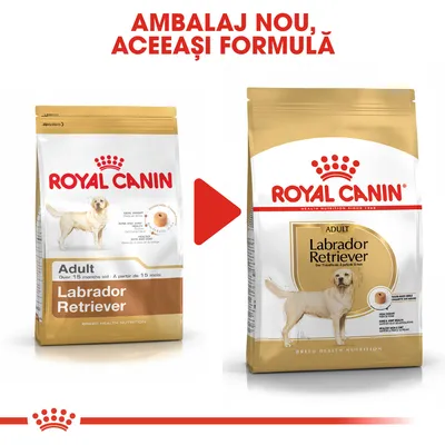 Ambalaj nou, aceeași formulă. Două pungi Royal Canin Adult Labrador Retriever, vechi și nou, cu imagine de câine și text vizibil pe ambalaj.