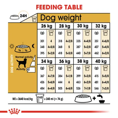 Royal Canin Labrador Retriever Adult