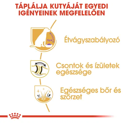 Táplálja kutyáját egyedi igényeinek megfelelően: étvágy szabályozó, csontok és ízületek egészsége, egészséges bőr és szőrzet. Látható ikonokkal.