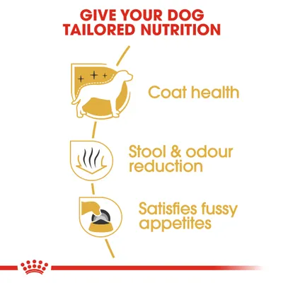 Key benefits shown: coat health, stool and odour reduction, satisfies fussy appetites. Text highlights tailored nutrition for your dog.