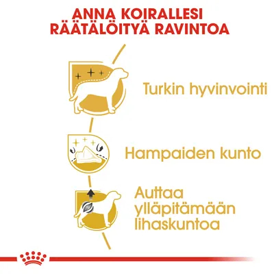Anna koirallesi räätälöityä ravintoa. Turkin hyvinvointi, hampaiden kunto, auttaa ylläpitämään lihaskuntoa.