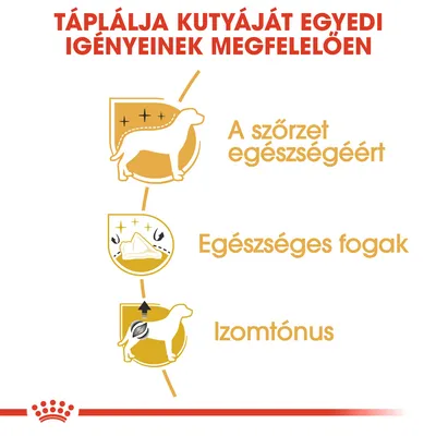 Táplálja kutyáját egyedi igényeinek megfelelően. A szőrzet egészségéért, egészséges fogak, izomtónus – látható ikonokkal.