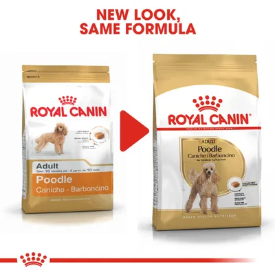 Royal Canin Breed Poodle Adult