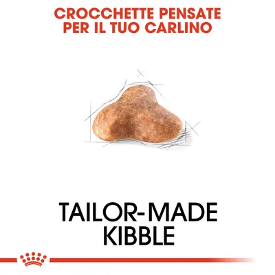 CROCCHETTE PENSATE PER IL TUO CARLINO, immagine di una crocchetta e testo in inglese: TAILOR-MADE KIBBLE
