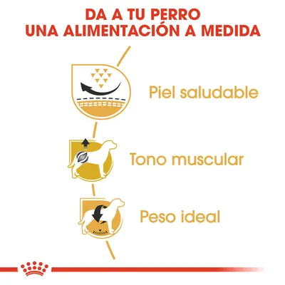 Da a tu perro una alimentación a medida. Piel saludable, tono muscular, peso ideal.