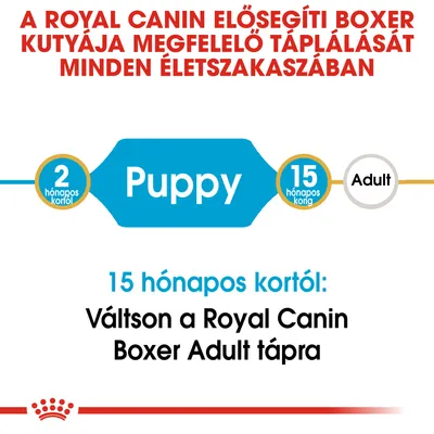 Royal Canin: Boxer kölyökkutya táp 2 hónapos kortól 15 hónapos korig, utána váltson Boxer Adult tápra. Puppy és Adult szakaszok kiemelve.