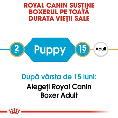 Royal Canin susține boxerul pe toată durata vieții sale. Puppy: 2–15 luni. După vârsta de 15 luni: Alegeți Royal Canin Boxer Adult.