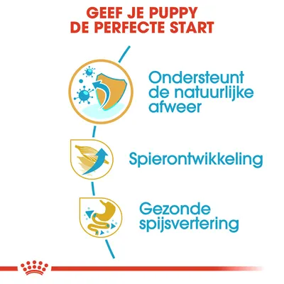 Geef je puppy de perfecte start. Ondersteunt de natuurlijke afweer, spierontwikkeling, gezonde spijsvertering.