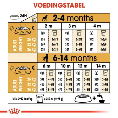 Voedingstabel voor honden: dagelijkse hoeveelheid voer in grammen en cups per leeftijd (2–14 maanden) en volwassen gewicht (26, 32, 36 kg). 1 cup = 240 ml (=96 g), ME=3962 kcal/kg.