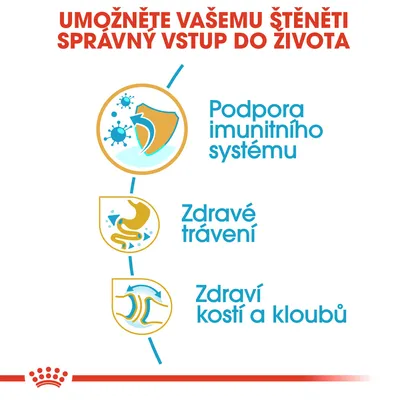Podpora imunitního systému, zdravé trávení, zdraví kostí a kloubů – hlavní benefity uvedené na obrázku pro štěňata.