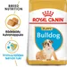 Royal Canin Bulldog Puppy