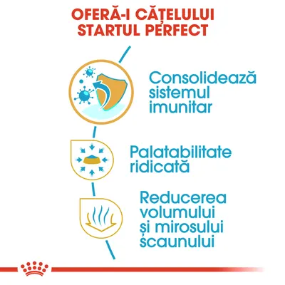Oferă-i cățelului startul perfect: consolidează sistemul imunitar, palatabilitate ridicată, reducerea volumului și mirosului scaunului.