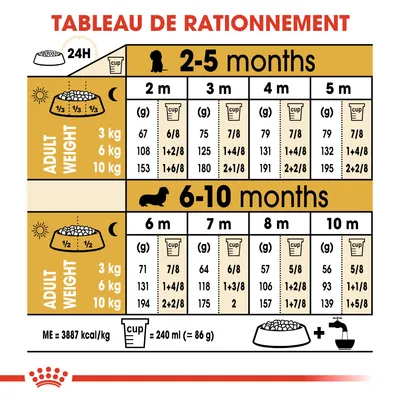 Tableau de rationnement pour chiots selon poids adulte (3, 6, 10 kg) et âge (2–10 mois), quantités en grammes et tasses. 1 tasse = 240 ml (≈86 g). ME = 3887 kcal/kg.