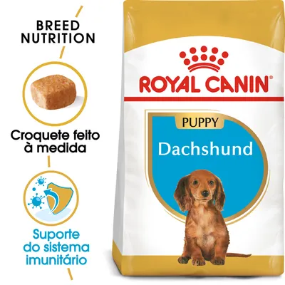 Embalagem Royal Canin Puppy Dachshund. Texto visível: 'Croquete feito à medida', 'Suporte do sistema imunitário', 'Breed Nutrition'. Imagem de croquete e cão da raça dachshund.